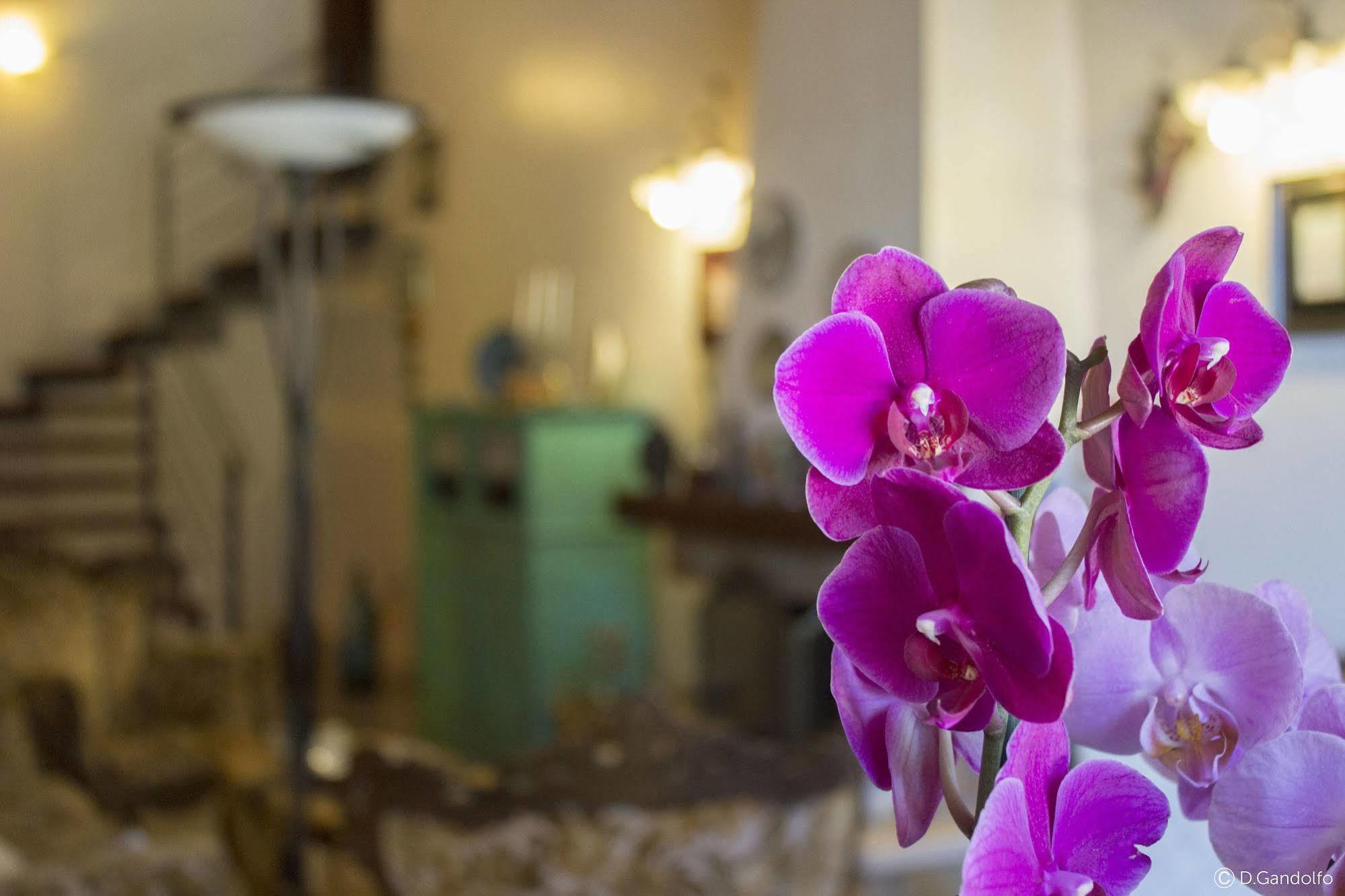 קאסטלמארה דל גולפו Villa Gagliardetta מראה חיצוני תמונה